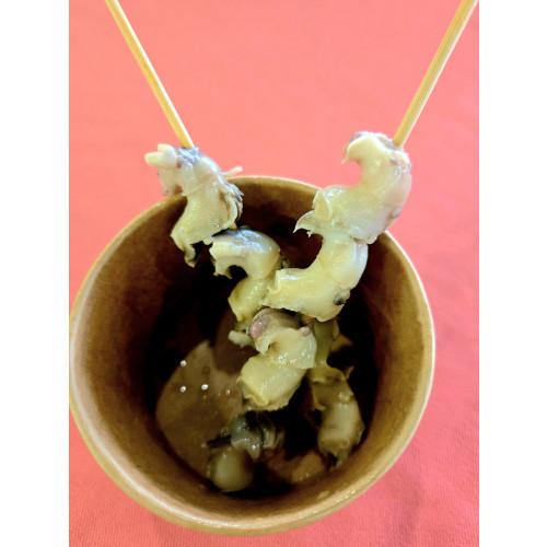 Signature Peppered Sea Snails