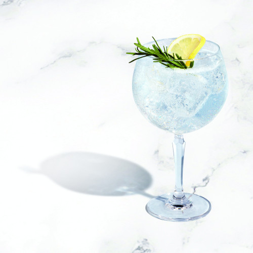 Tanqueray Gin Tonic