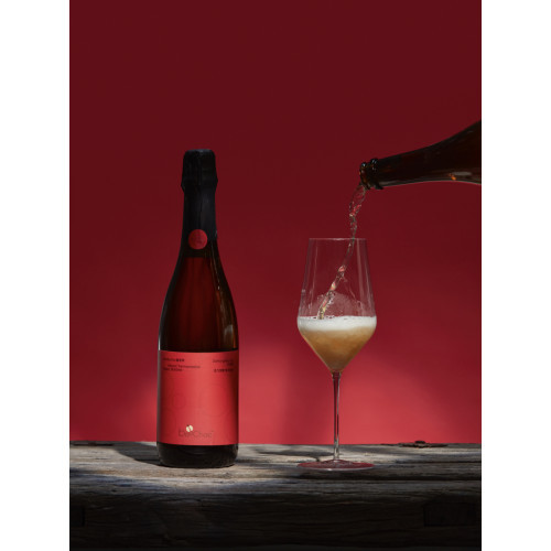 BooChaa DaHongPao Champagne Kombucha