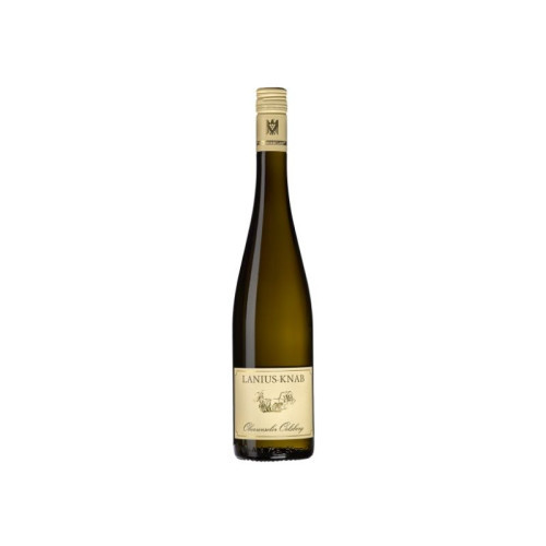 Lanius-Knab Oberweseler Oelsbreg, Riesling VDP Grosse Lage 2017