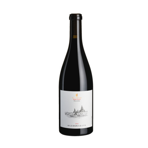 MYST VINEYARD MOKA PLUS 2022