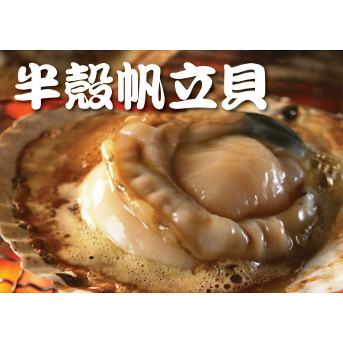 帆立貝