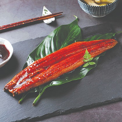 Grilled eel