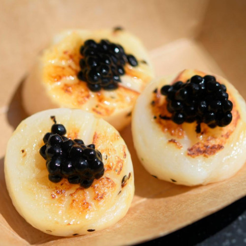 Hokkaido Scallop with Black Truffle Sauce